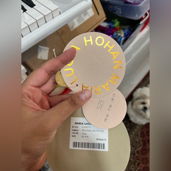 Maria Lucia Hohan Silk Asymmetric Louise Gown - Picture 8 of 14